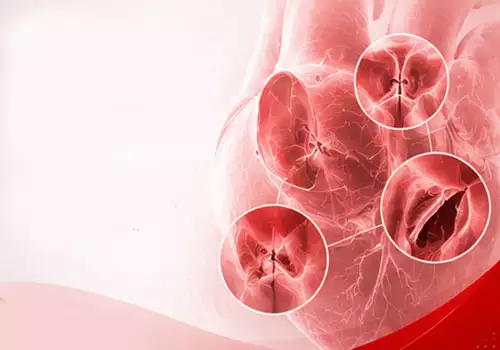  2025 Cardiovascular Diseases and Pregnancy