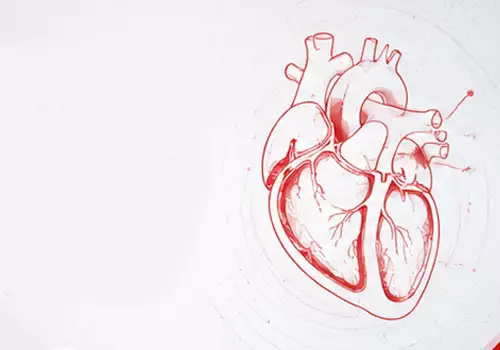 2025 ESC Clinical Consensus Statement on mental health and cardiovascular disease