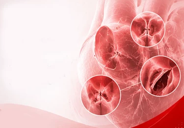  2025 Cardiovascular Diseases and Pregnancy