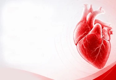  2025 Myocarditis and Pericarditis