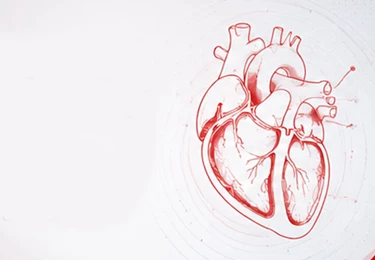 2025 ESC Clinical Consensus Statement on mental health and cardiovascular disease