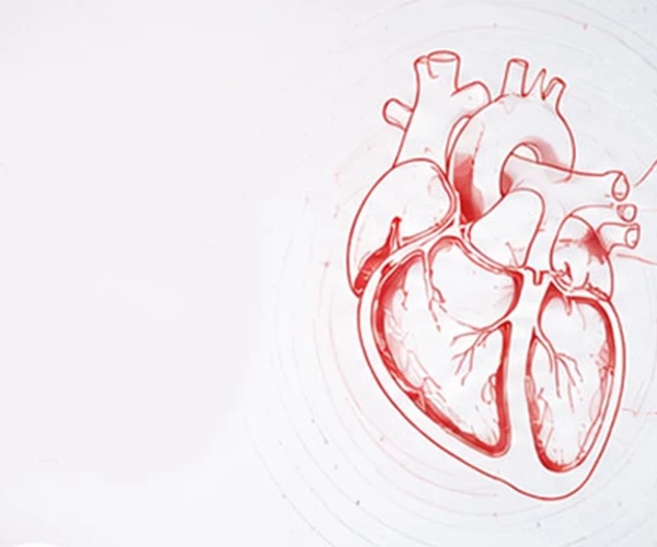 2025 ESC Clinical Consensus Statement on mental health and cardiovascular disease