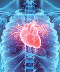 Stress Echocardiography Masterclass