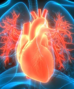 National Echocardiography Congress 2026